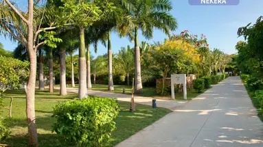Melia Zanzibar