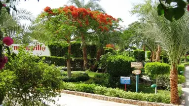 MENAVILLE RESORT