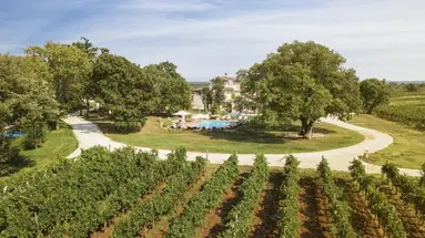 Meneghetti Wine Hotel & Winery