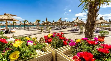 Mera Resort Venus