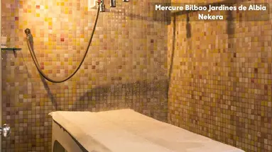 Mercure Bilbao Jardines De Albia