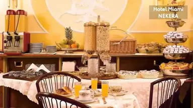 MIAMI HOTEL