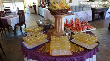 MICHELANGELO RESORT