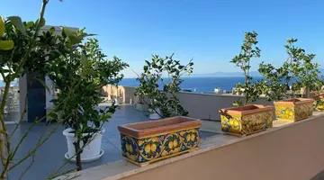 MIDDLE TOWN PALACE