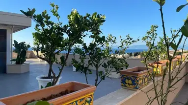 MIDDLE TOWN PALACE
