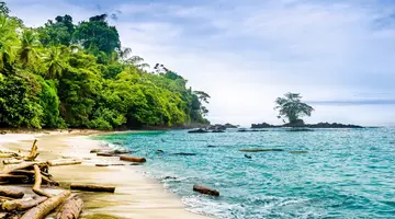 Między Dżunglą a Oceanem