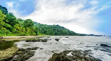 Między Dżunglą a Oceanem
