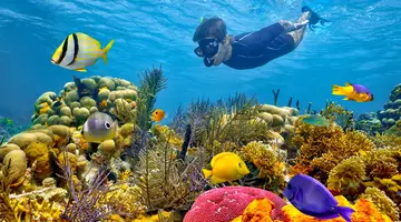 Między oceanami i wulkanami