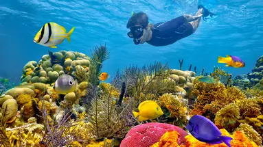 Między oceanami i wulkanami