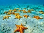 Między oceanami i wulkanami