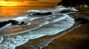 Między oceanami i wulkanami