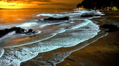 Między oceanami i wulkanami
