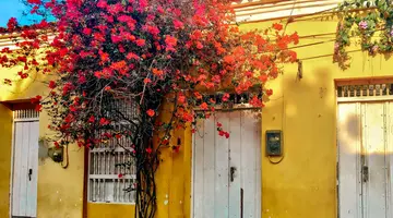 Między oceanami