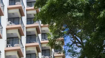 Mimosa Studio Hotel
