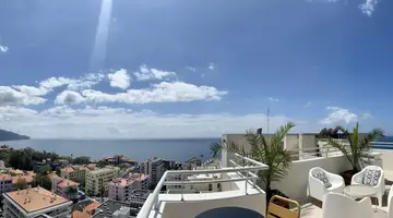 Mimosa Studio Hotel