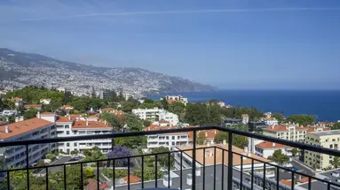 Mimosa Studio Hotel