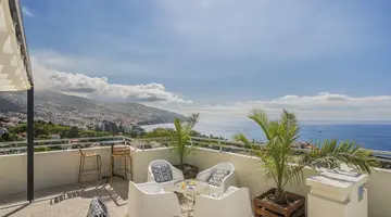 Mimosa Studio Hotel