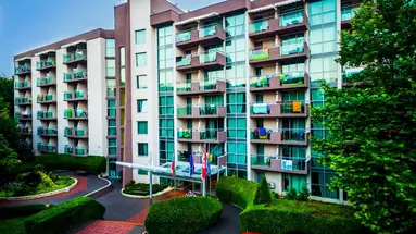Mimosa Sunshine Hotel