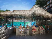 Mimosa Sunshine Hotel