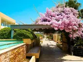 Minoa Palace Resort & Spa