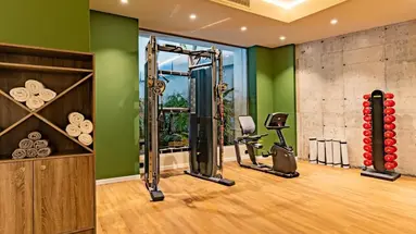 MINOS AMBASSADOR ALL SUITES & SPA Adults only 16+