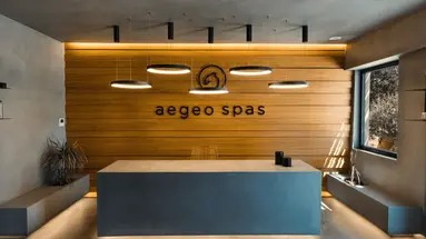 MINOS BEACH ART HOTEL