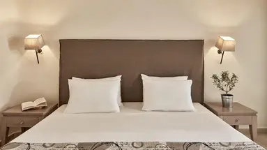 Minos Palace Hotel & Suites (Adults Only