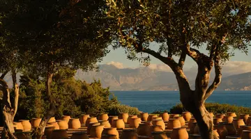 MINOS PALACE RESORT