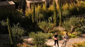 Minos Palace Resort