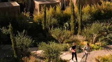 Minos Palace Resort