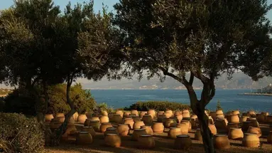 Minos Palace Resort