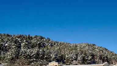 Mirabell Alpine Garden Resort & Spa