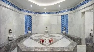 MIRAGE PARK RESORT
