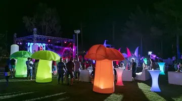 MIRAGE PARK RESORT