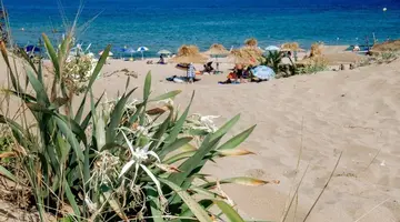 Miramar Sozopol