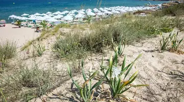 Miramar Sozopol