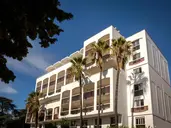 Mob Cannes