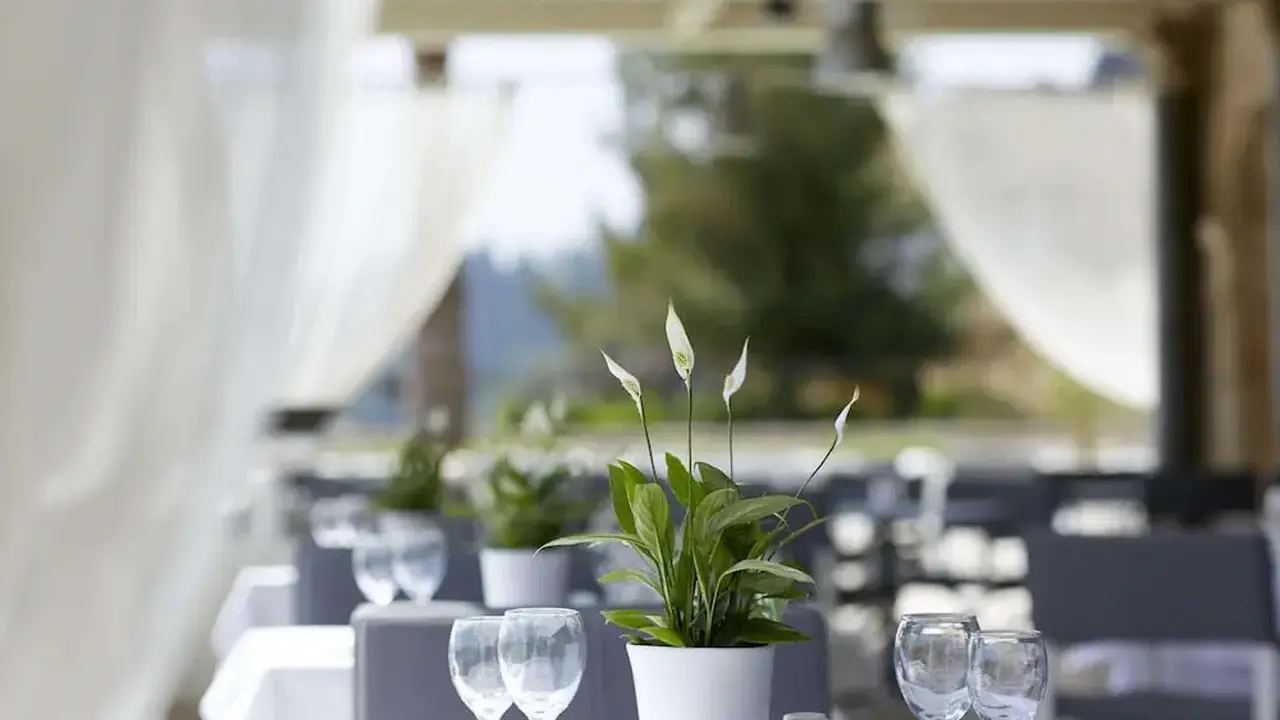 Mon Repos Palace - Adults Only