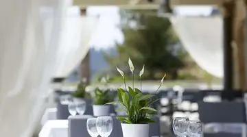 Mon Repos Palace - Adults Only