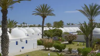 Monarque Dar Jerba Zahra