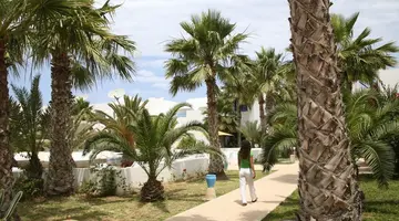 Monarque Dar Jerba Zahra