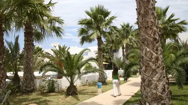 Monarque Dar Jerba Zahra