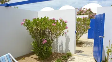 Monarque Dar Jerba Zahra