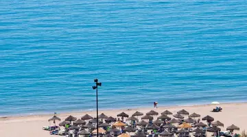 Monarque Torreblanca