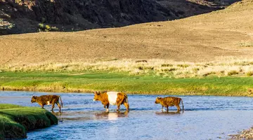 Mongolia i Pekin – Od Bezkresnych Stepów Po Wielki Mur
