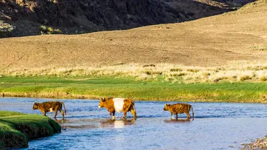 Mongolia i Pekin – Od Bezkresnych Stepów Po Wielki Mur
