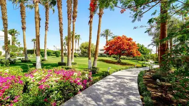 Monte Carlo Sharm El Sheikh Resort