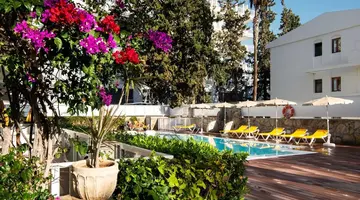 Montemayor Apartments