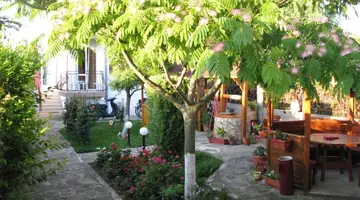 Morski Dar