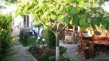 Morski Dar